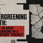 The Evergreening Myth: How to Spot the Cracks in a 20-Patent Thicket image
